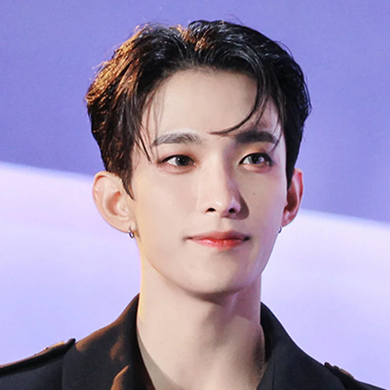 이석민 (도겸)